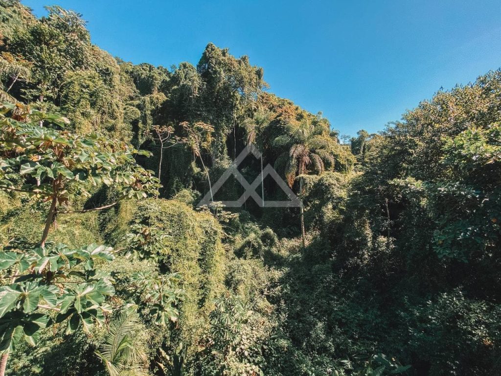 Apartamento de Alto Padrão - Praia Grande - Ubatuba - SP - 01