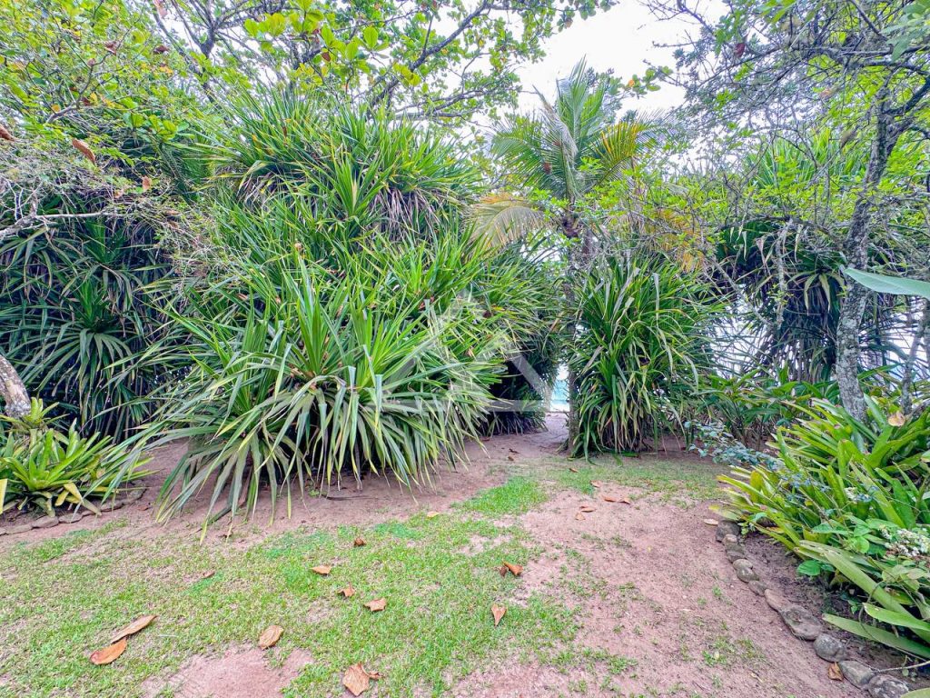 Casa de Alto Padrão - Vermelha do Centro - Ubatuba - SP - 186 - 2