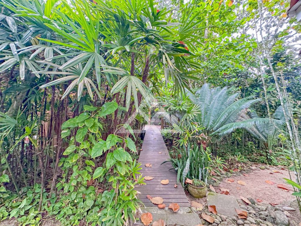 Casa de Alto Padrão - Vermelha do Centro - Ubatuba - SP - 186 - 74