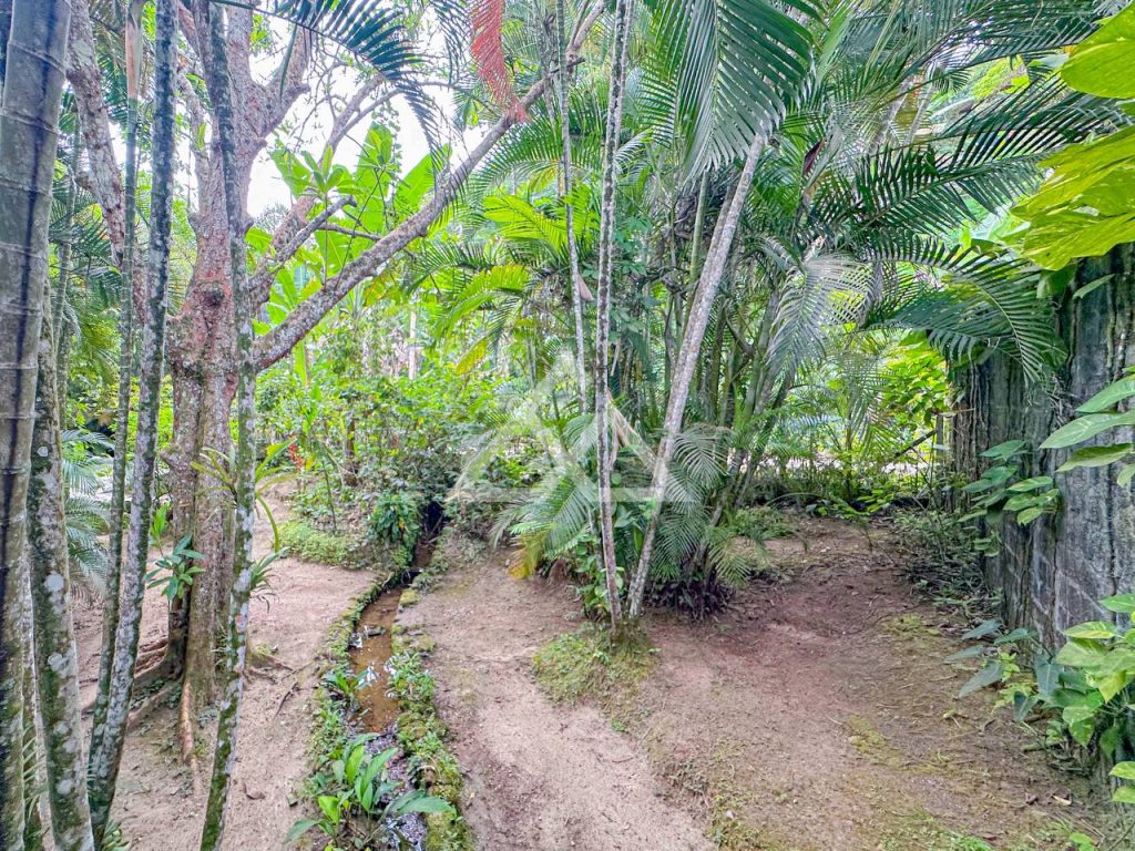 Casa de Alto Padrão - Vermelha do Centro - Ubatuba - SP - 186 - 77