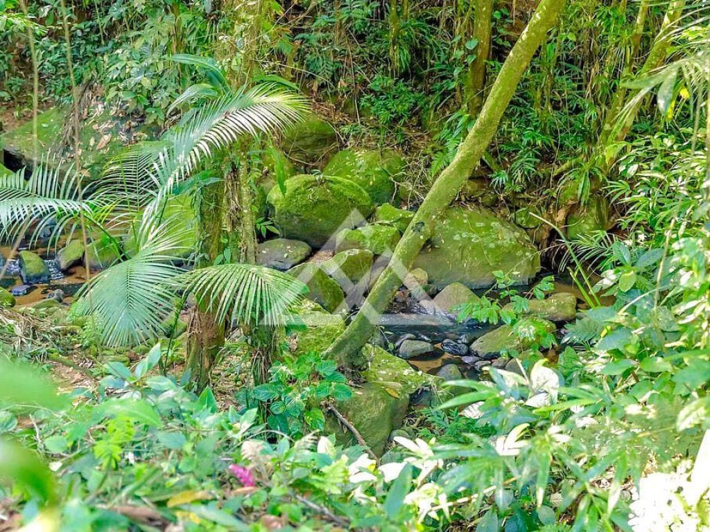 Casa de Condomínio Alto Padrão - Felix - Ubatuba - SP - 24 - 09