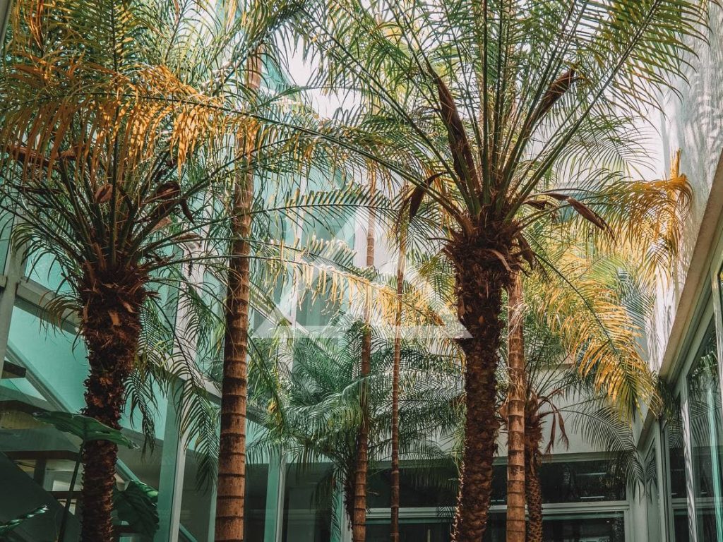 Casa de Condomínio Alto Padrão - Tamboré 1 - Barueri - SP - 85 - 33