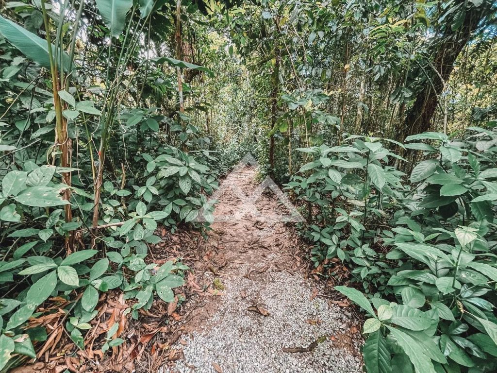Casa de Condomínio de Alto Padrão - Prumirim - Ubatuba - SP - 70 - 48